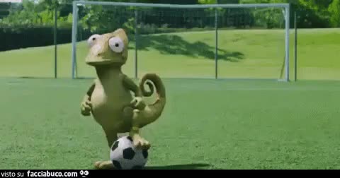gif animata