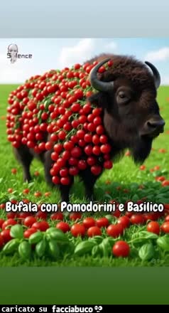 Lo sapevi