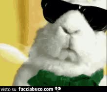gif animata