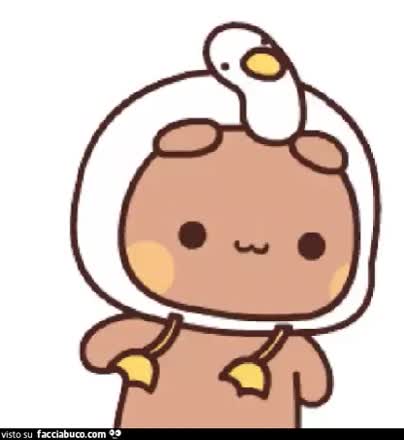 gif animata