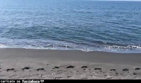 Mare calmo