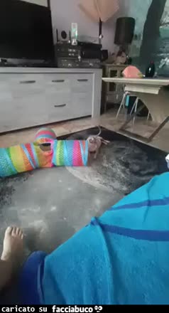 Gif Animata
