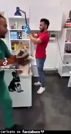 Gif Animata