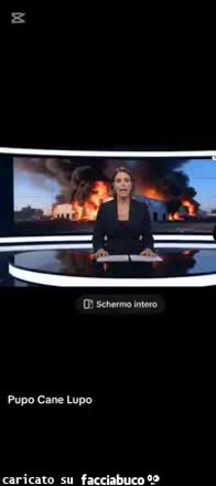 Gif Animata