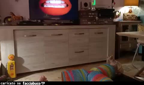 Gif Animata