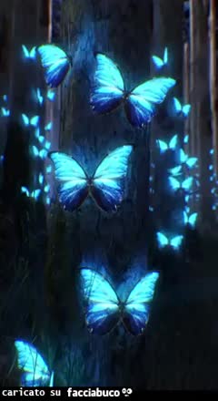 Gif Animata
