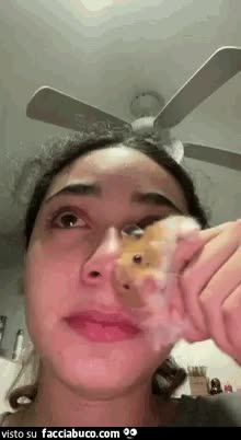 gif animata