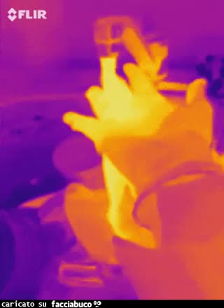 Gif Animata