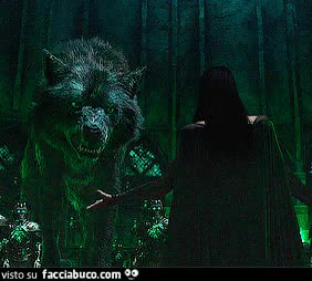 Gif Animata