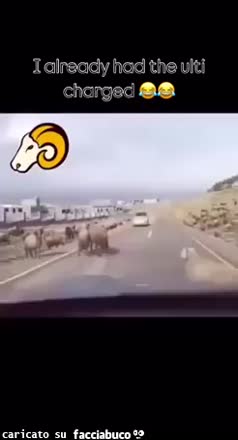 Gif Animata