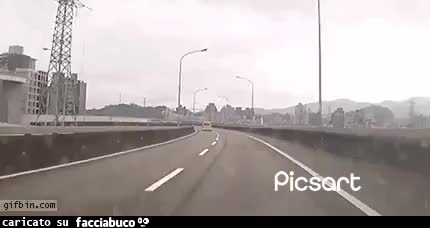 Gif Animata
