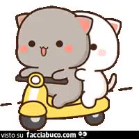 gif animata