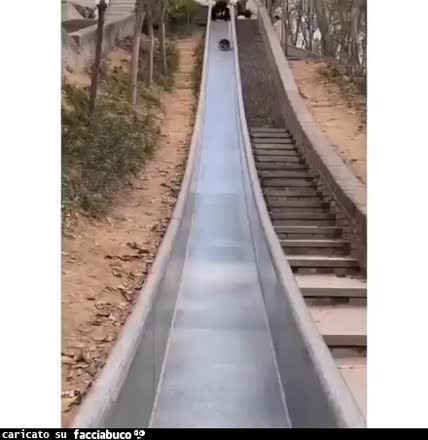 Gif Animata