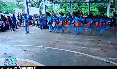 Gif Animata