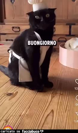 Gif Animata