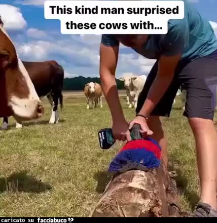 Gif Animata