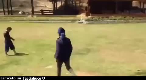 Gif Animata