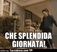 gif animata