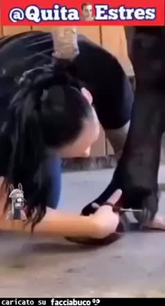 Cavallo eccitato