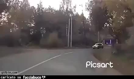 Gif Animata