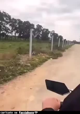 Gif Animata