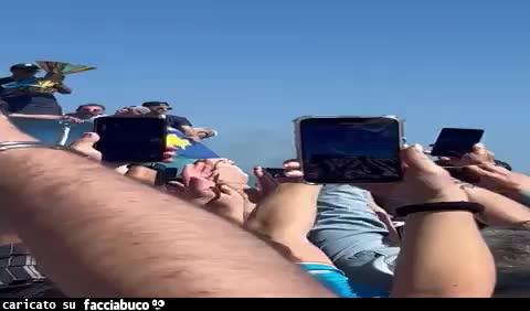 Gif Animata