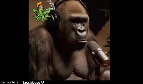 Gif Animata