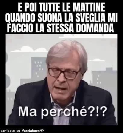 E poi tutte le mattine quando suon la sveglia mi faccio la stessa domanda ma perché sgarbi