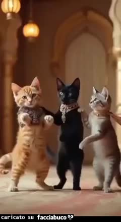 Gif Animata