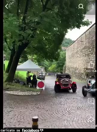 Gif Animata