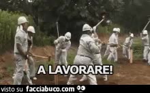gif animata
