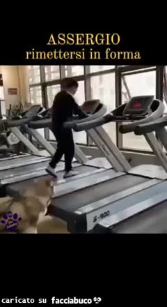 Gif Animata