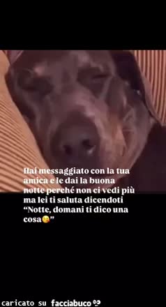 Messaggio