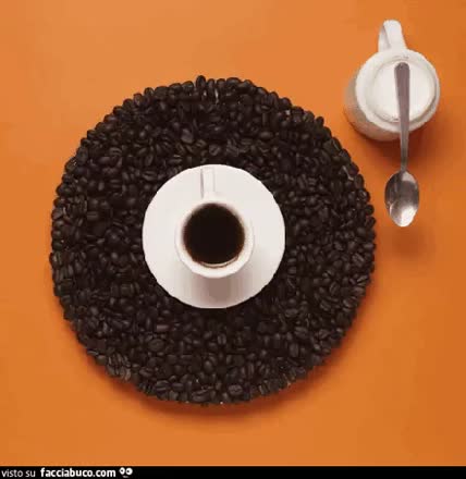 gif animata