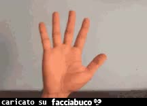 gif animata