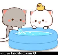 gif animata