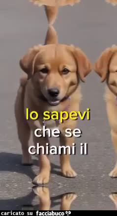 Lo sapevi