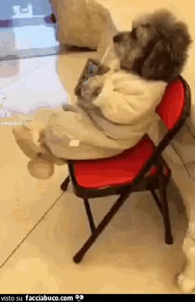 gif animata