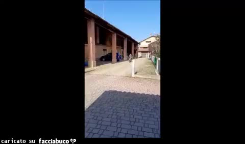gif animata