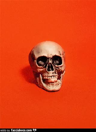 gif animata