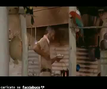 Gif Animata