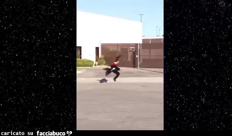 Gif Animata