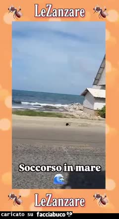 Gif Animata