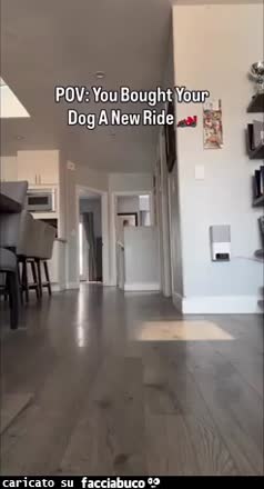 gif animata