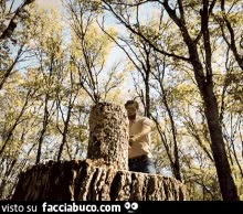 gif animata