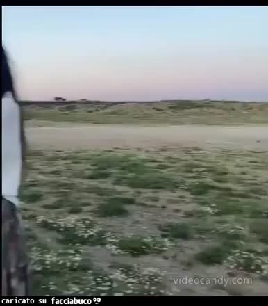 gif animata