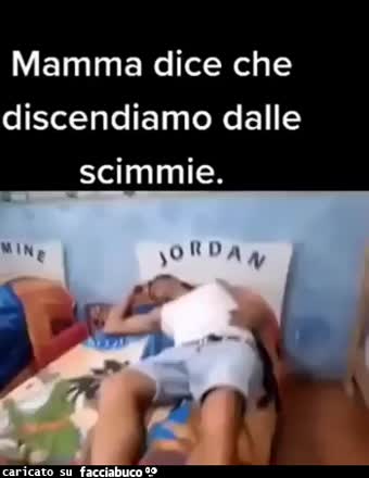 Gif Animata
