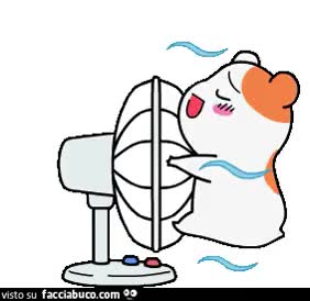 gif animata