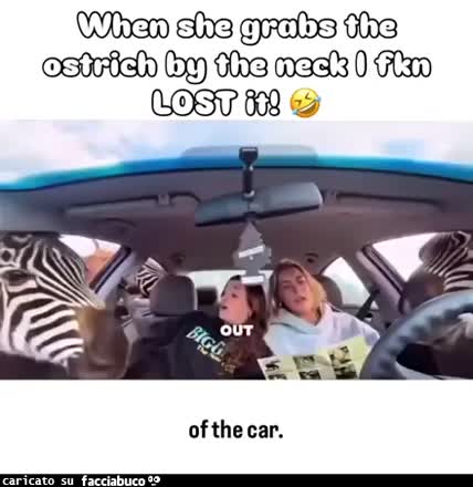 Gif Animata