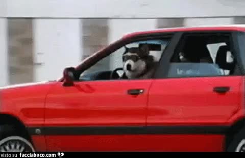 gif animata